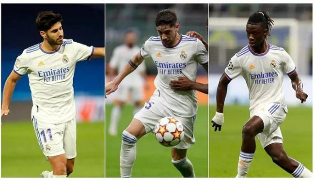 苏菲亚电影在线观看